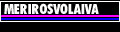 Merirosvolaiva